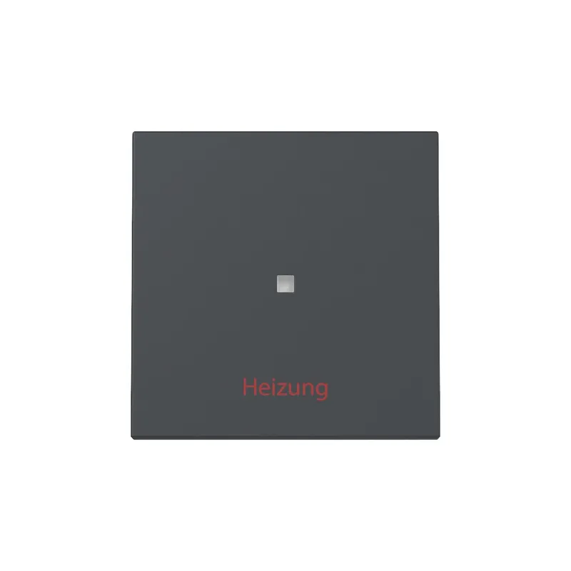 Gira Wippe Kontrollf.+Heizung Ein/Aus Sys.55 anthr