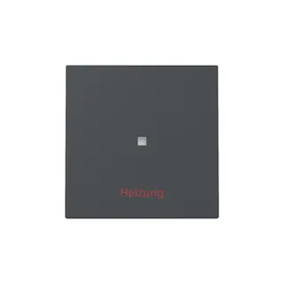 Gira Wippe Kontrollf.+Heizung Ein/Aus Sys.55 anthr