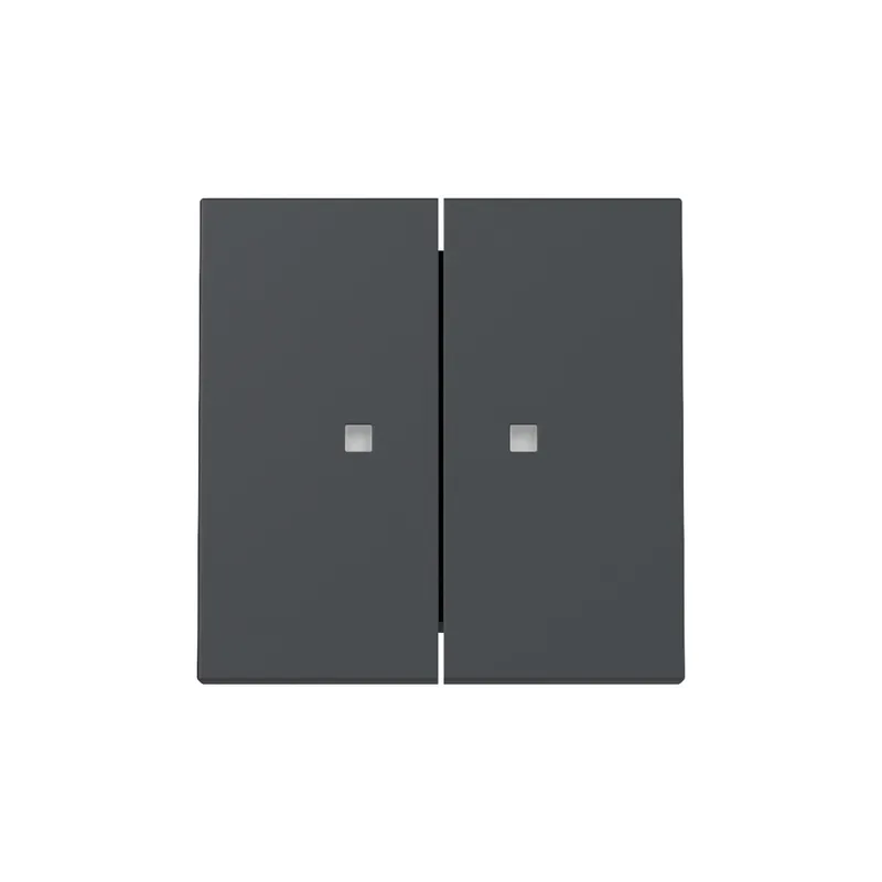 Gira Wippe 363128 2f Kontrollf.Sys.55 anthr