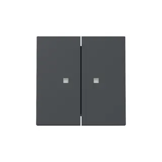 Gira Wippe 363128 2f Kontrollf.Sys.55 anthr