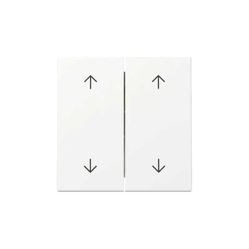 Gira Wippe 329727 2f Pfeile Sys.55 rws m