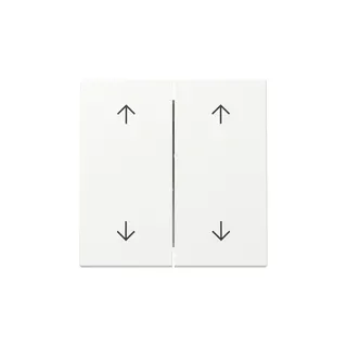 Gira Wippe 329727 2f Pfeile Sys.55 rws m