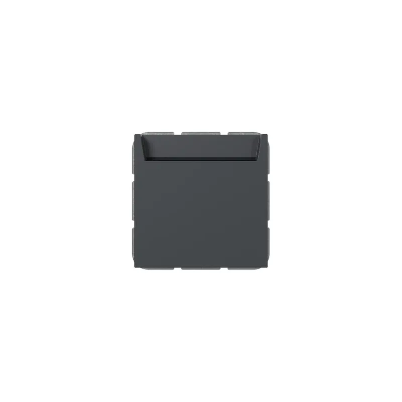 Gira Hotel Card Wechsler 314028 bel.BSF Sys.55 anthr