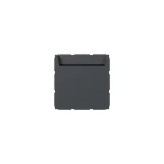 Gira Hotel Card Wechsler 314028 bel.BSF Sys.55 anthr