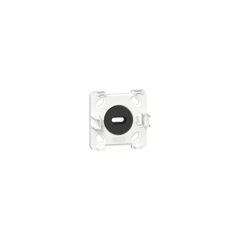 Gira Montageplatte 305114 1f AP rws