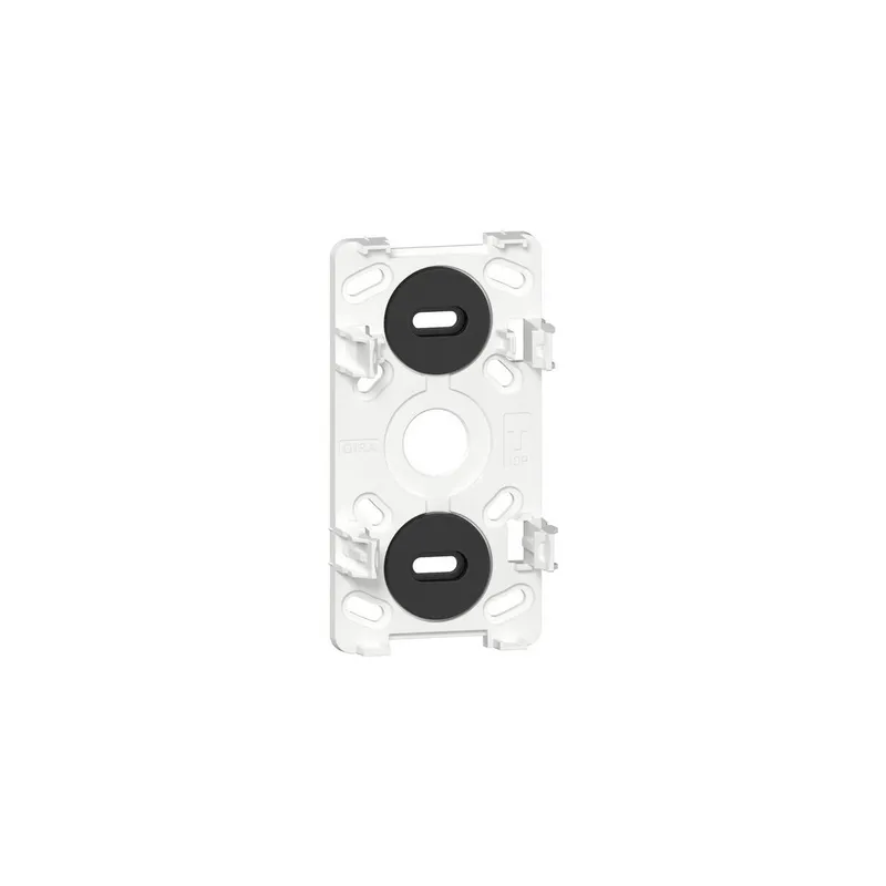 Gira Montageplatte 305214 2f AP rws
