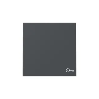 Gira Wippe 328728 Symb.Tür Sys.55 anthr
