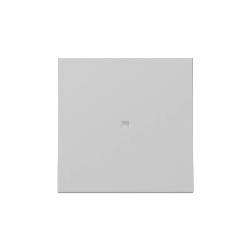 Gira Wippe 3290015 Kontrollf.Sys.55 gr m