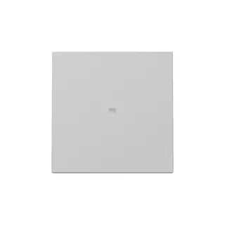 Gira Wippe 3290015 Kontrollf.Sys.55 gr m