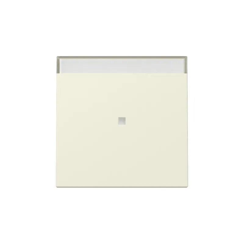Gira Wippe 367001 Kontrollf.+BSF Sys.55 cws