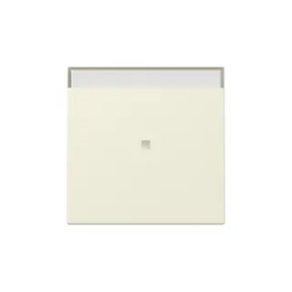 Gira Wippe 367001 Kontrollf.+BSF Sys.55 cws