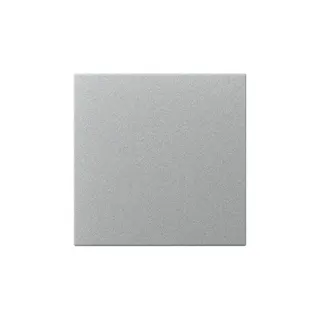 Gira Wippe 349626 gerade Sys.55 F Alu