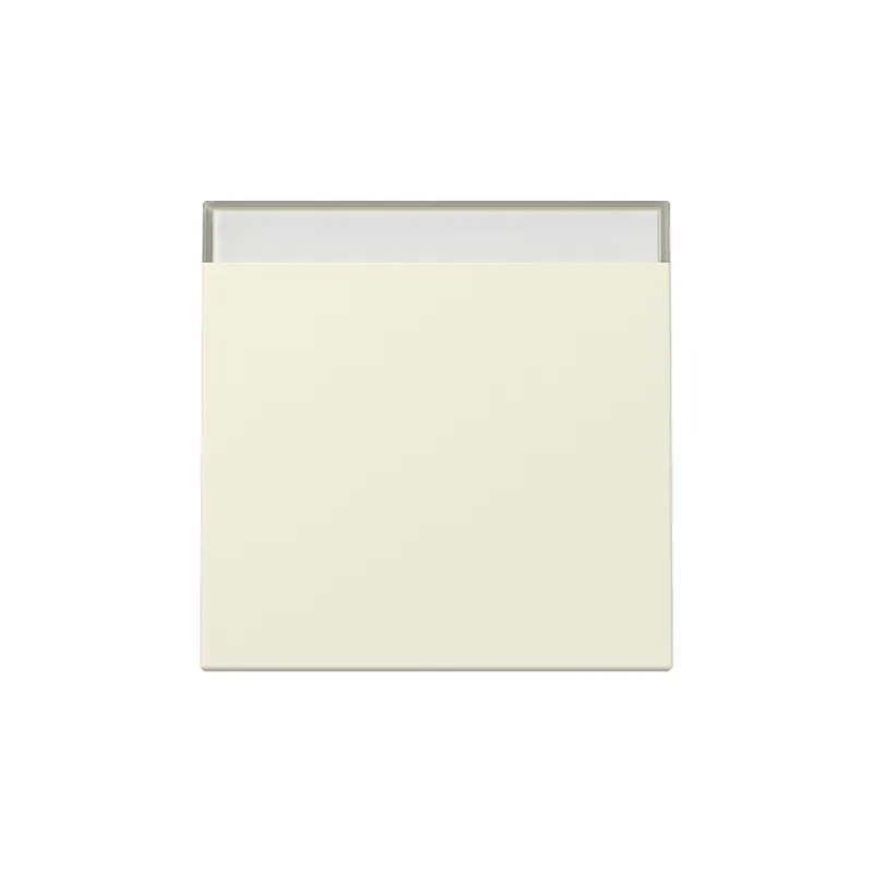 Gira Wippe 329901 BSF Sys.55 cws