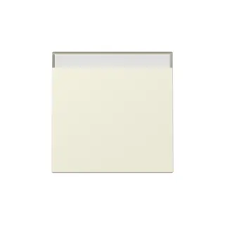 Gira Wippe 329901 BSF Sys.55 cws