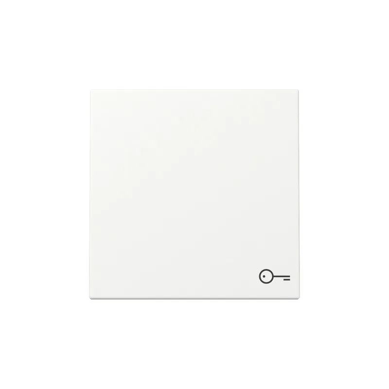 Gira Wippe 328727 Symb.Tür Sys.55 rws m
