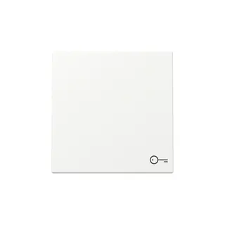 Gira Wippe 328727 Symb.Tür Sys.55 rws m