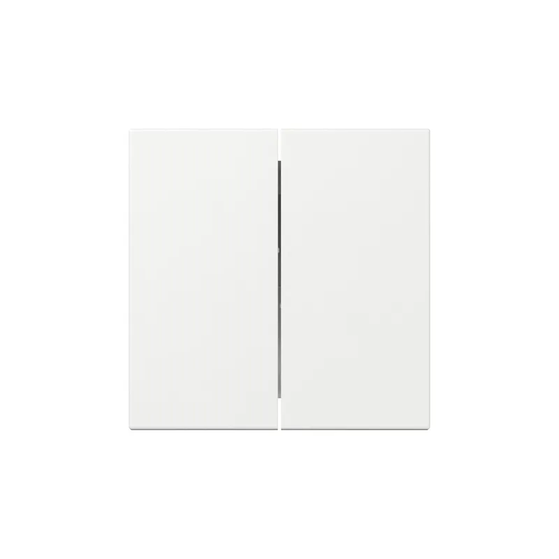 Gira Wippe 349503 2f gerade Sys.55 rws
