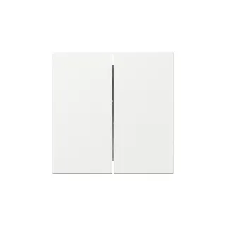 Gira Wippe 349503 2f gerade Sys.55 rws