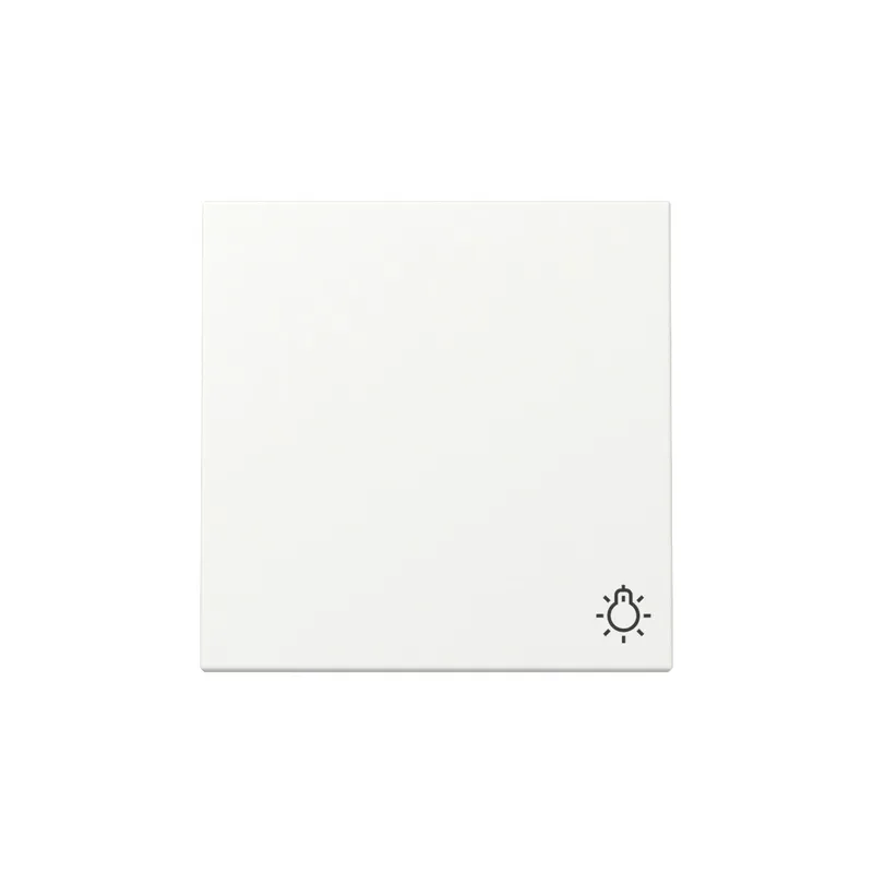 Gira Wippe 328527 Symb.Licht Sys.55 rws m