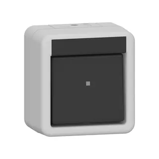 Gira Wippschalter 310230 Aus 2-p WG AP gr