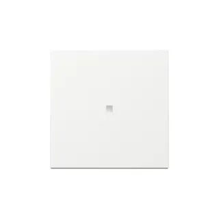 Gira Wippe 329003 Kontrollf.Sys.55 rws