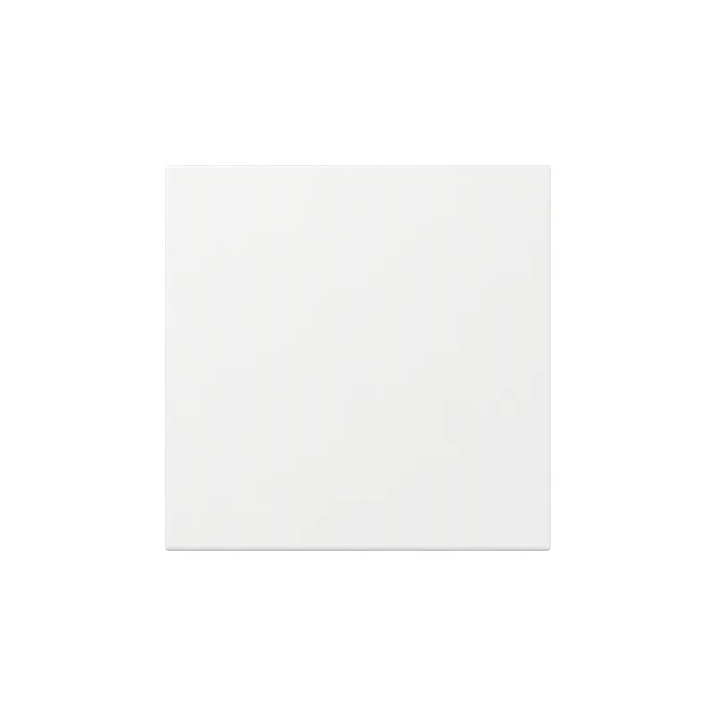Gira Wippe 349603 gerade Sys.55 rws