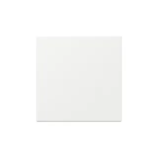 Gira Wippe 349603 gerade Sys.55 rws