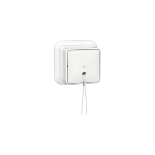 Gira Zugschalter 314611 AusWe+K/P AP rws