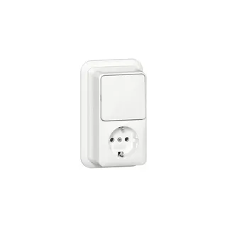 Gira Steckdose SCHUKO 417611 Kombi AusWe senk.K/P AP RW