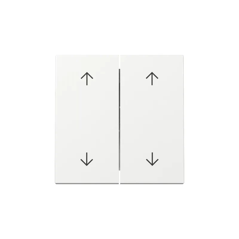 Gira Wippe 329703 2f Pfeile Sys.55 rws