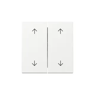 Gira Wippe 329703 2f Pfeile Sys.55 rws