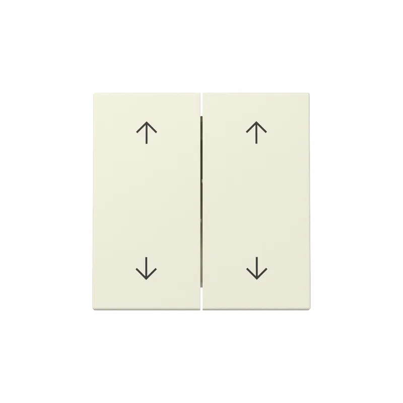 Gira Wippe 329701 2f Pfeile Sys.55