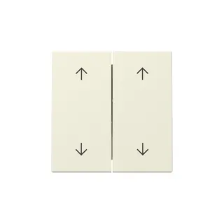 Gira Wippe 329701 2f Pfeile Sys.55