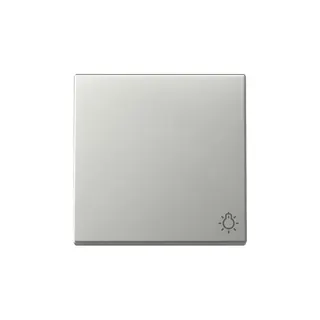 Gira Wippe 3285600 Symb.Licht Sys.55 es