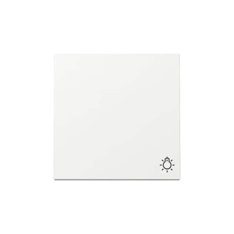 Gira Wippe 328503 Symb.Licht Sys.55 rws