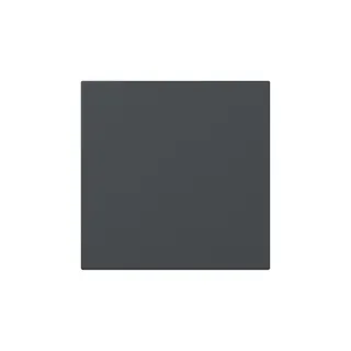 Gira Wippe 349628 gerade Kontrollf.Sys.55 anthr