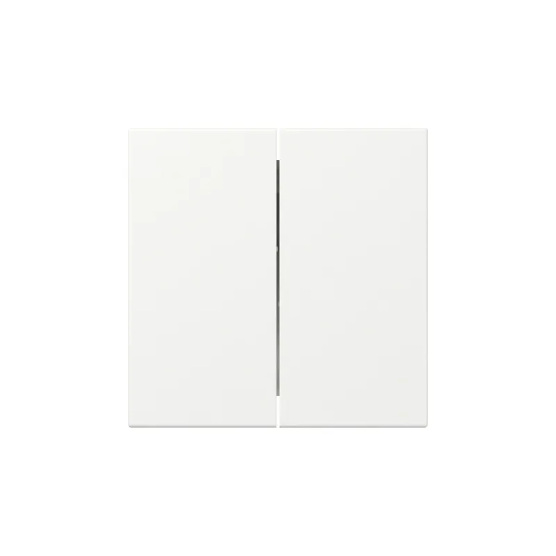 Gira Wippe 349527 2f gerade Sys.55 rws m