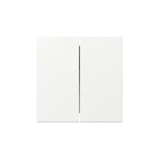 Gira Wippe 349527 2f gerade Sys.55 rws m