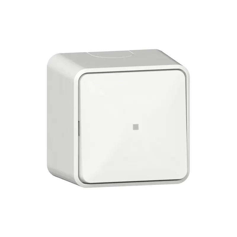 Gira Wippschalter 311613 Kontroll AusWe AP rws