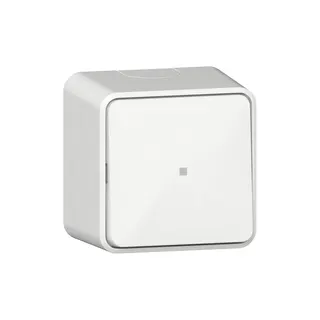 Gira Wippschalter 311613 Kontroll AusWe AP rws