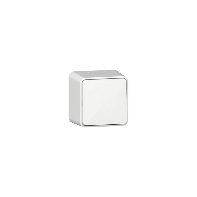 Gira Wippschalter 310614 AusWe AP rws
