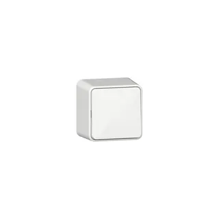 Gira Wippschalter 310614 AusWe AP rws