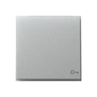 Gira Wippe 328765 Symb.Tür TX44 WG UP F Alu