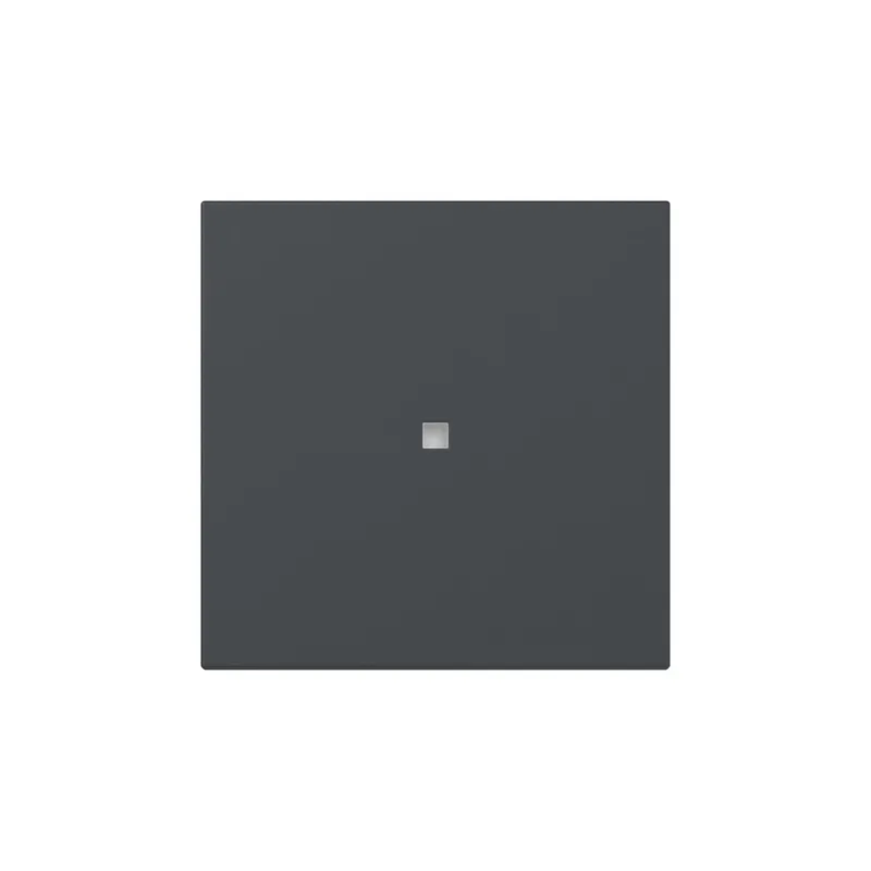 Gira Wippe 349028 gerade Kontrollf.Sys.55 anthr