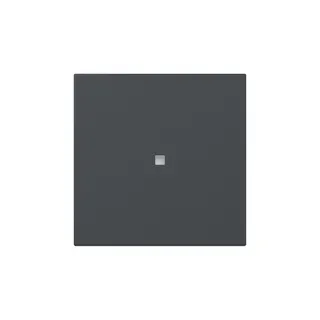 Gira Wippe 349028 gerade Kontrollf.Sys.55 anthr