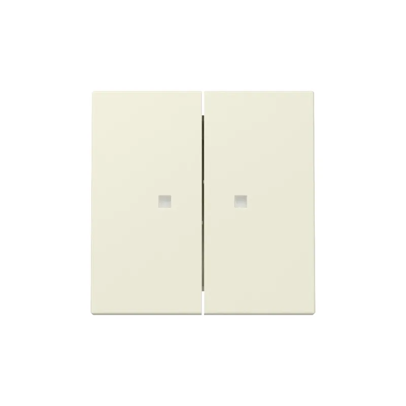 Gira Wippe 363101 2f Kontrollf.Sys.55 cws