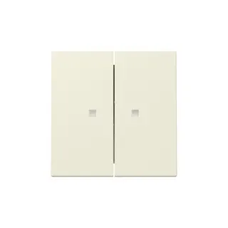 Gira Wippe 363101 2f Kontrollf.Sys.55 cws