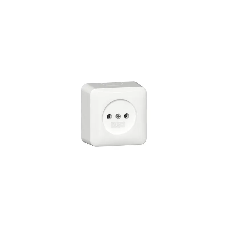 Gira Steckdose 447014 o.Sch.2-p AP RW