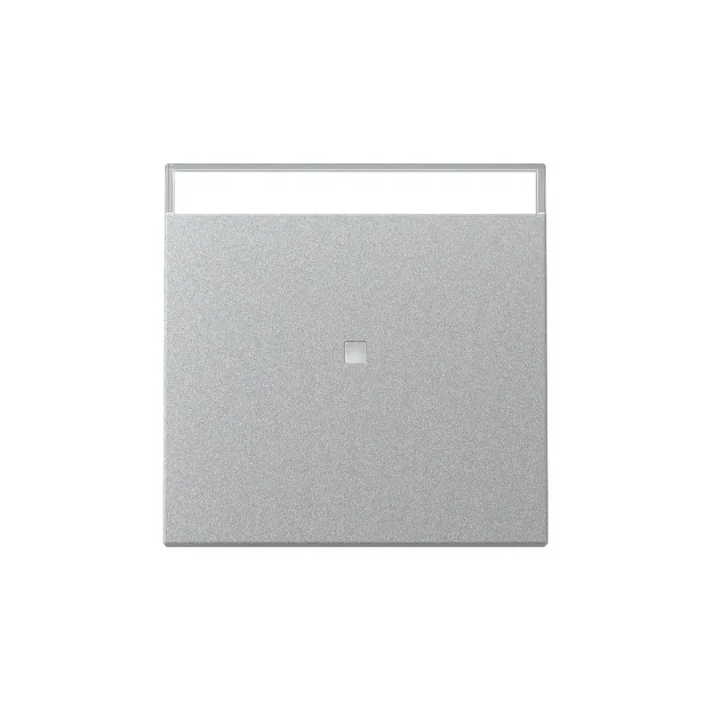 Gira Wippe 367026 Kontrollf.+BSF Sys.55 F Alu
