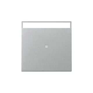 Gira Wippe 367026 Kontrollf.+BSF Sys.55 F Alu